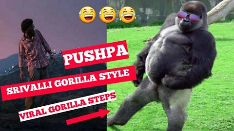 Gorilla Dancing on Srivalli Song😅😅Gorilla Style