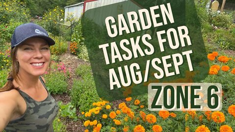 Vegetable Garden Tasks for Late Summer: Zone 6