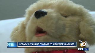 Robotic pets bring comfort to Alzheimer's patient