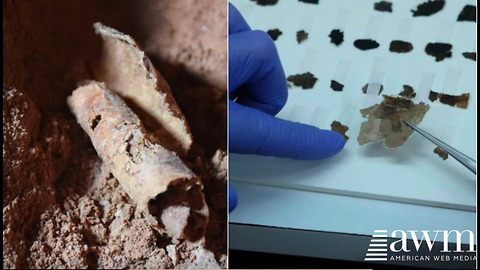 Dead Sea Scrolls Controversy Stuck In A Deadlock