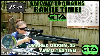 GTA RANGE TIME - Umarex Origin Ammo Test! - Gateway to Airguns Airgun