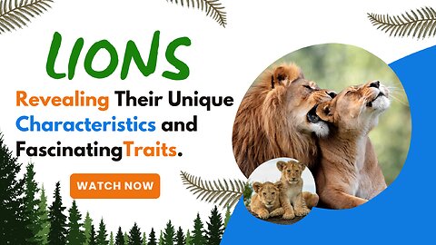 Lions, Revealing Their Unique Characteristics and Fascinating Traits.