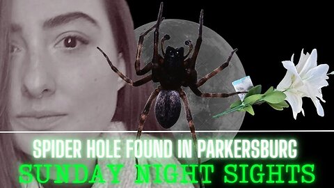 Spider Hole Found in Parkersburg