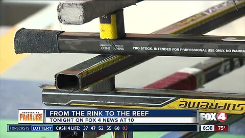 Preview: Turning hockey sticks into oyster reefs