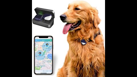 Top 10 Gps Trackers for Dogs 2022 | Best Gps Pet Tracker