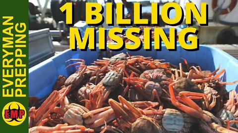 Alaska Cancels Snow and King Crab Season - More Food Shortages Will Lead to Personal SHTF Situations