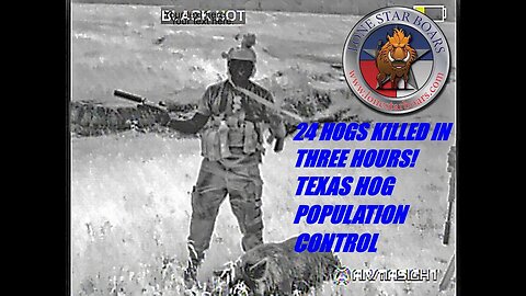 HOG HUNTING 24 KILLS TEXAS POPULATION CONTROL