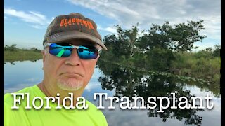 A Northerner Transplant Explores Florida