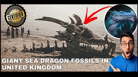 Scientists were shocked when they Found this 76 million year old |Dragon Skeleton