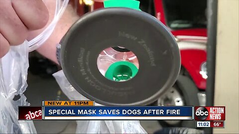 Tampa firefighters credit donated oxygen masks for saving multiple pets on Thanksgiving
