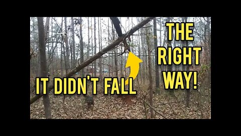 It Fell the Wrong Way! - Ann's Tiny Life