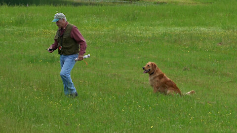 Beginning version Walking Marks w Bill Hillmann