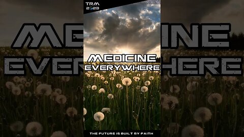 Unveiling Natures Medicine Hidden Remedies Amidst Weeds #investing #food #medicine