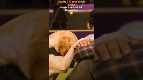 Charlie 777 Movie scene Short Movie download now and description #shorts