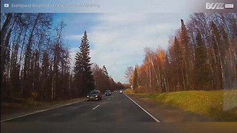 Árvore quase causa acidente em estrada na Rússia; veja!