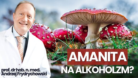 AMANITA NA ALKOHOLIZM? Bez skutków ubocznych! | Amanita Muscaria | prof. Andrzej Frydrychowski