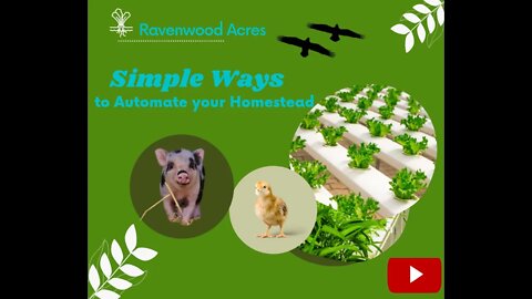 Simple ways to Automate your Homestead