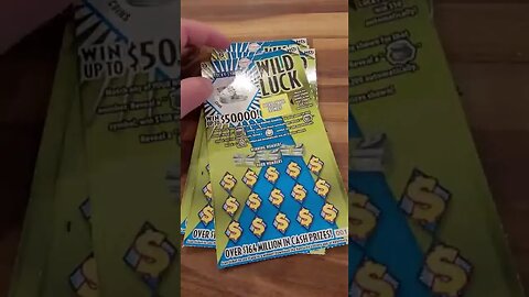 Wild Luck Lottery Ticket Scratch Offs Put To The Test!