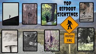 Top Bigfoot Sightings According to The Media but What Do You Think?