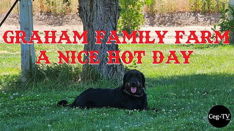 Graham Family Farm: A Nice Hot Day