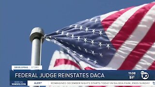 Federal judge reinstates DACA