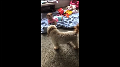High-Energy Pup Entertains A Laughing Baby