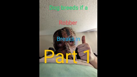 Dog breeds if a robber broke in part 1