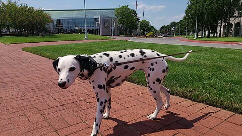 Luna at Naval Academy visitors center