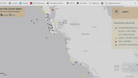 Red Tide found in Southwest Florida