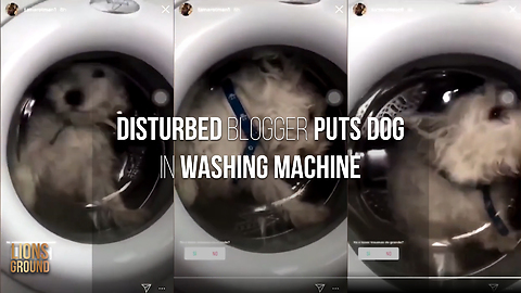 Innocent dog put in washing machine by disturbed blogger