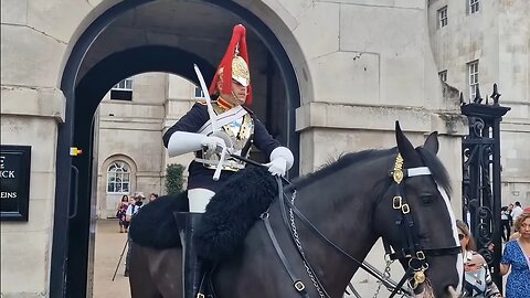 Troopers good controls over horse out of the box #horseguardsparade