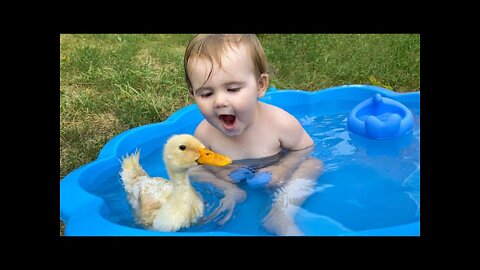 Funny Baby Reaction to Duckling in the Pool