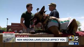 New AZ laws, and the ones that may impact you the most