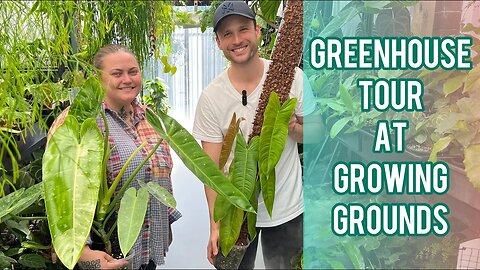 TROPICAL GREENHOUSE TOUR - Visiting Growing Grounds - Begonias, Aroids & more