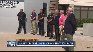 Treasure Valley leaders present opioid crisis plan