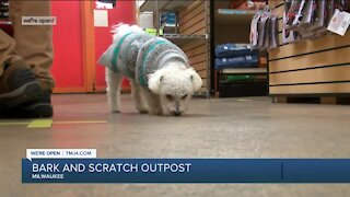 Get the perfect meal for your furry friend with Bark N Scratch Outpost