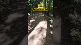ASMR A Summer Forest Walk in Nature 🌲🌳🚶#Shorts #WalkingVideos #NatureVideos