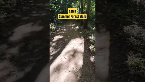 ASMR A Summer Forest Walk in Nature 🌲🌳🚶#Shorts #WalkingVideos #NatureVideos