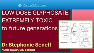 STEPHANIE SENEFF 2 | LOW DOSE GLYPHOSATE: EXTREMELY TOXIC to future generations