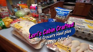 Aldi Grocery Haul plus Surplus Outlet Haul 2 for 2 Labor Day Weekend