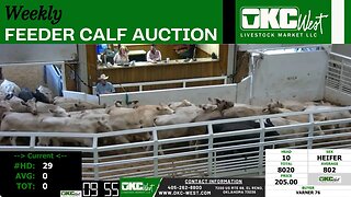 10/11/2023 - OKC West Feeder Calf Auction