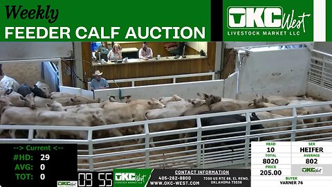 10/11/2023 - OKC West Feeder Calf Auction