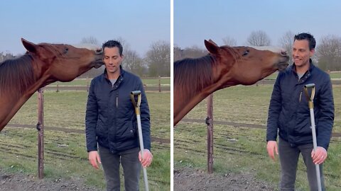 Horse Loves To Give Kisses To Favorite Human