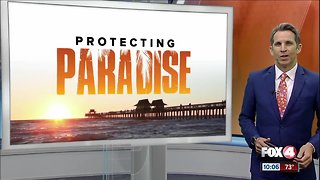 Fox 4 launches Protecting Paradise, a focus on the environmental issues in Southwest Florida