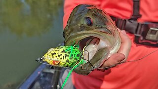 The MOST Consistent Baits for Fall Bass Fishing - The Seminar