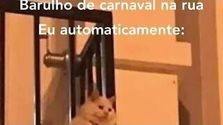 FIM DE TURNO SEGUNDA DE CARNAVAL