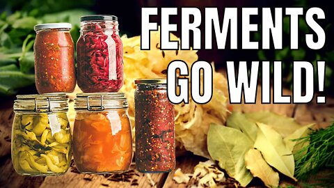 How To Properly Ferment Foods! [Fermenting Fairy]