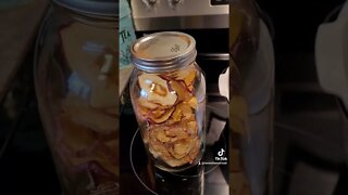 Dehydrated Apple Rings Simple and Delicous