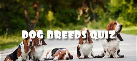 Guess the Dog Breeds Quiz