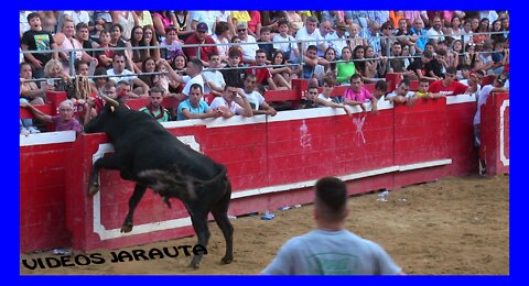 NOVALLAS ( ZARAGOZA ) TARDE VACAS PLAZA ( DOMINGO 3 JULIO 2022 ) SANTOS ZAPATERIA